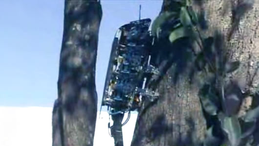 tree climbing robot