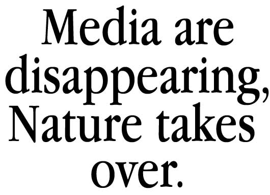 the media are disappearing, nature takes over