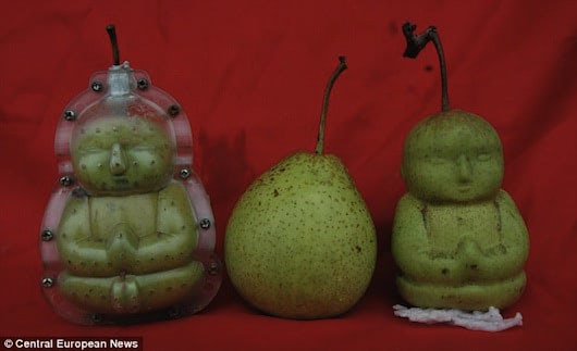 buddha pear mould