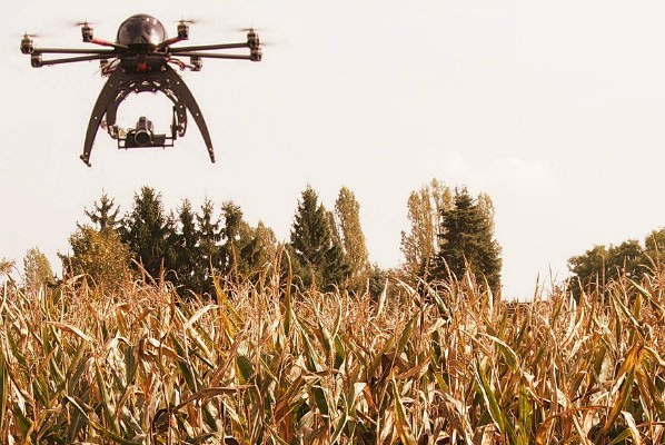 Drones and agriculture
